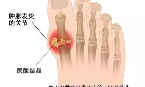 熊野油脂是品牌吗-熊野马油洗发水功效网熊野油脂马油护发素知识网站,分享熊野油脂沐浴露怎么样大全